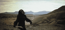 Kubrick GIF