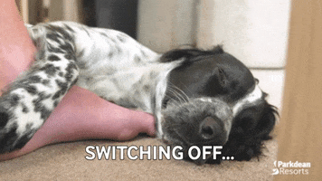 Dog Sleeping GIF by Parkdean Resorts