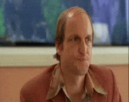 [Linked Image from media1.giphy.com]