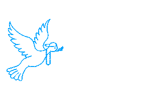 Sticker by PAZ World