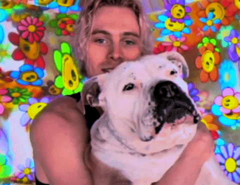 Wildflower GIF by 5 Seconds of Summer - Find & Share on GIPHY