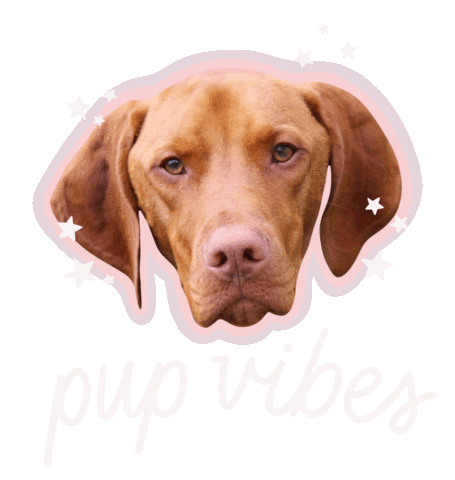 Luna Love Energy GIFs on GIPHY - Be Animated