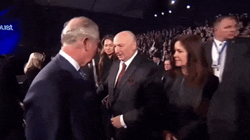 I Wouldnt Have Either GIF