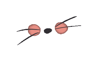 Facemask Sticker