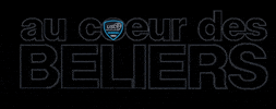 Us Creteil Sport GIF by US Créteil Handball