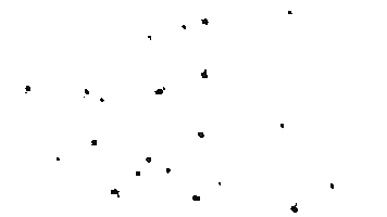 Phiacademy Boldbrows Sticker by Nereu Matias