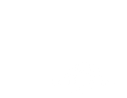 Opera Carolina Sticker