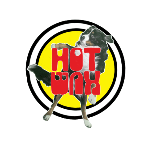 Dog Drop Sticker by Marathon Artists
