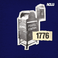 Election Voting GIF by ACLU