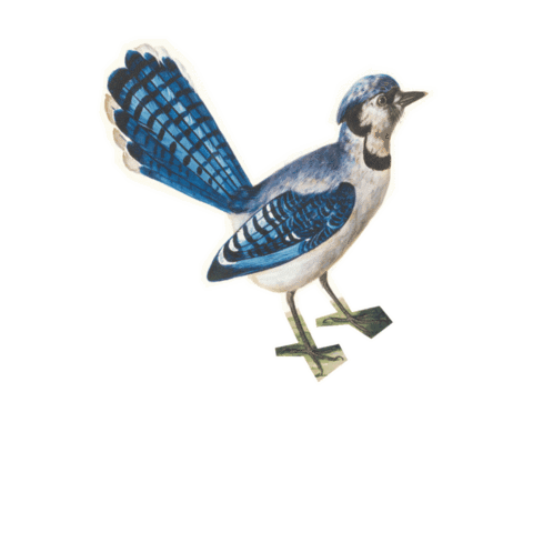 We Encourage Sticker