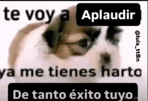 Exitoso GIF