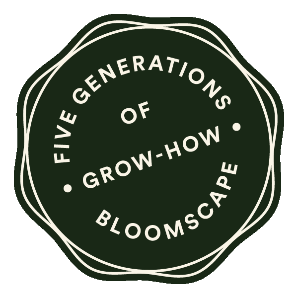 bloomscape GIFs - Find & Share on GIPHY bloomscape GIFs on GIPHY - Be Animated