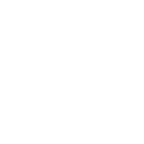 Zoo Simba Sticker by Borås Djurpark