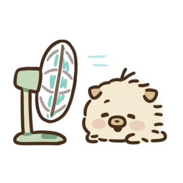 강아지 여름 GIF