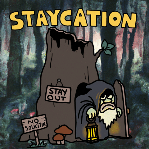staycation, influx, stay out, 