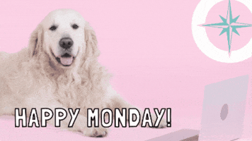 Happy Monday GIF by Omlie Consulting