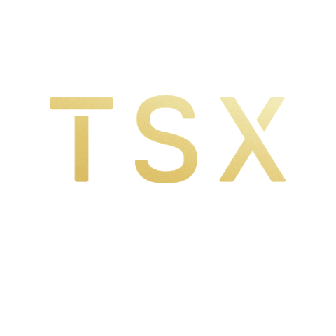 TSX ENTERTAINMENT Sticker