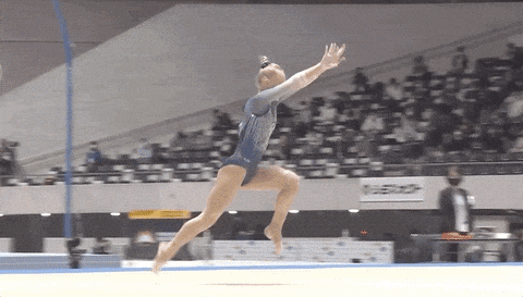 giphy-downsized-large.gif