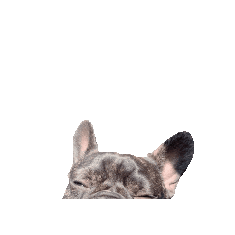 ErnestosCandles Sticker