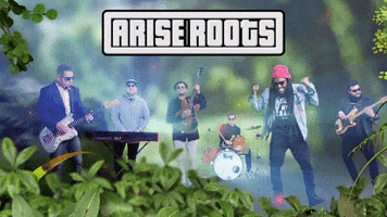 Reggae GIF by Arise Roots