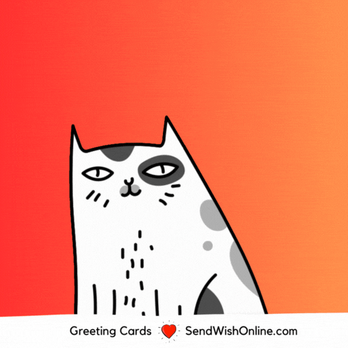 Sad Cats GIF by sendwishonline.com