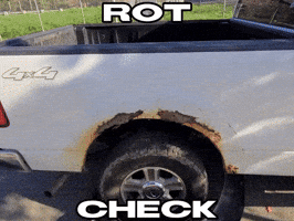 New York Nyc GIF