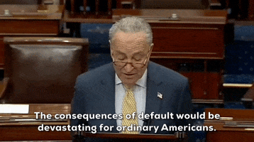 Chuck Schumer Default GIF by GIPHY News