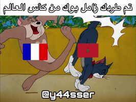 France Vs GIF
