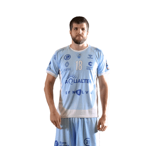 Handbal Sticker by CchartresMHB