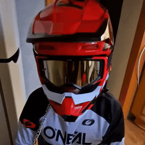 Face Obey GIF