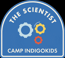 IndigoKids indigo earned it kids camp chapters GIF