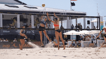 Beach Volleyball GIF