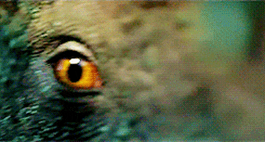 dinosaurs eyes