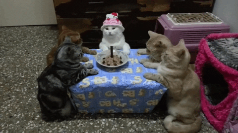 Animation-happy-birthday GIFs - Get the best GIF on GIPHY