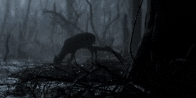 The Witcher GIF