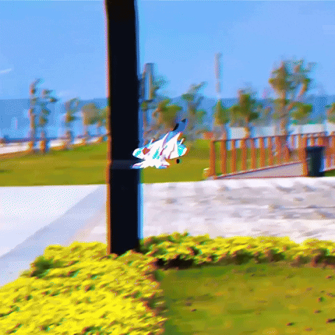 Animated GIF