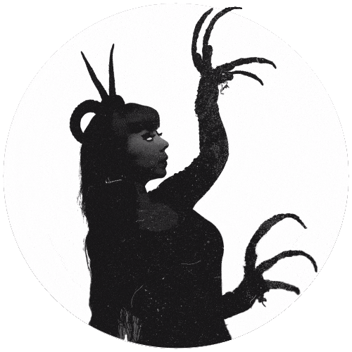 Bellydance Sticker