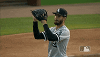 Dylan-cease GIFs - Get the best GIF on GIPHY