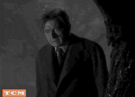 Horror Film Halloween GIF by Turner Classic Movies