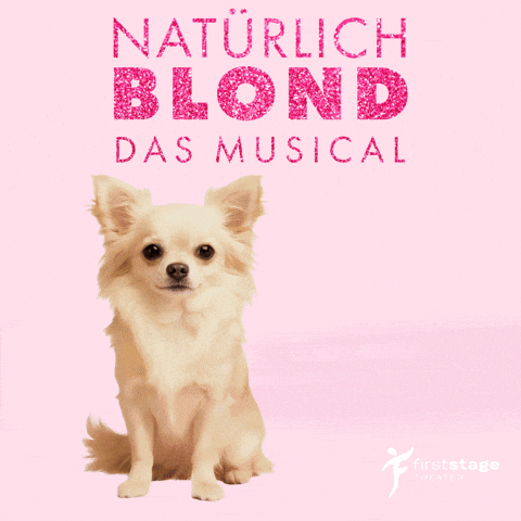 First Stage GIF by Stage School Hamburg