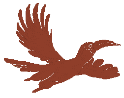 Climate Change Environment Sticker by SG Climate Rally