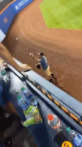Major League Baseball Sport GIF by New York Mets - Find & Share on GIPHY