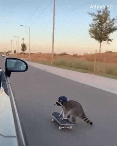 Car Buying Concierge San Antonio GIF