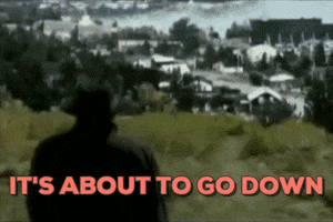 goose  GIF