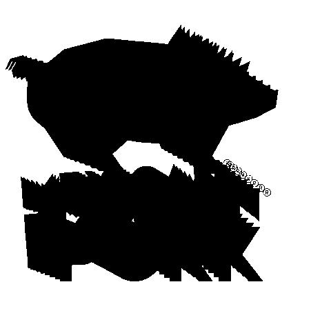 Mexican Pork Exporters Association Sticker