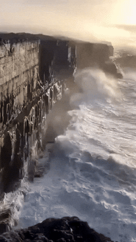 Nature GIF