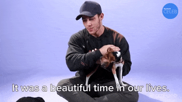 Nick Jonas Dogs GIF by BuzzFeed