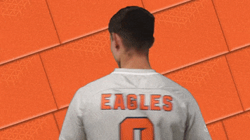Soccer Celebrate GIF by Carson-Newman Athletics