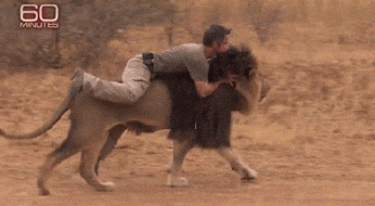 richardson kung kleinsprech allgemeiner smalltalk topcoolweb