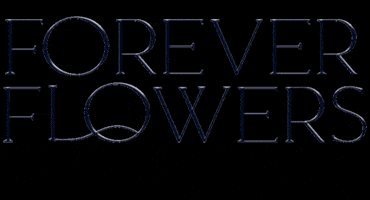 Forever Flowers GIF by Schaham Home